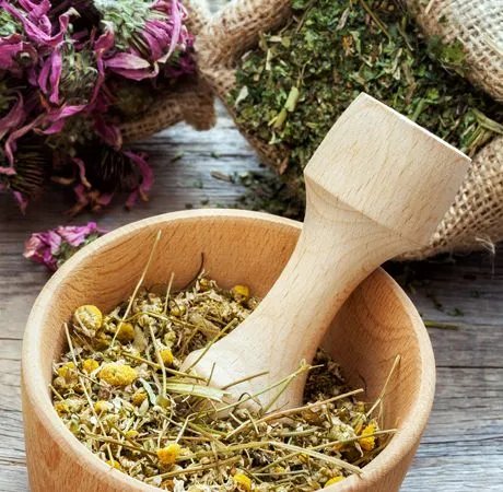 Herb Education